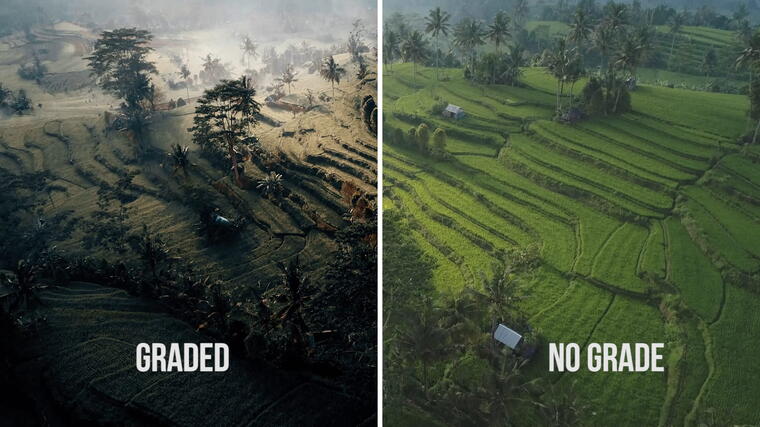 22 Signature Premium Editing Presets